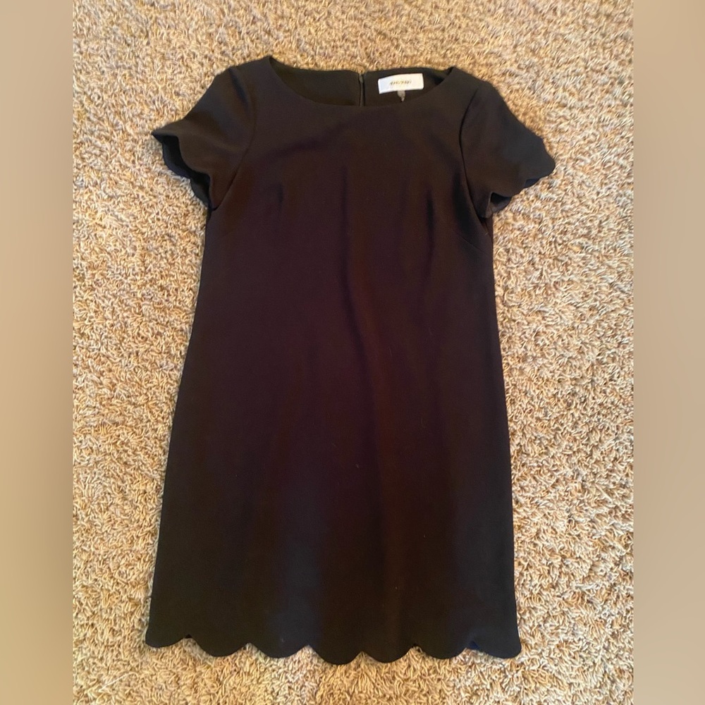 Jones Studio Dress